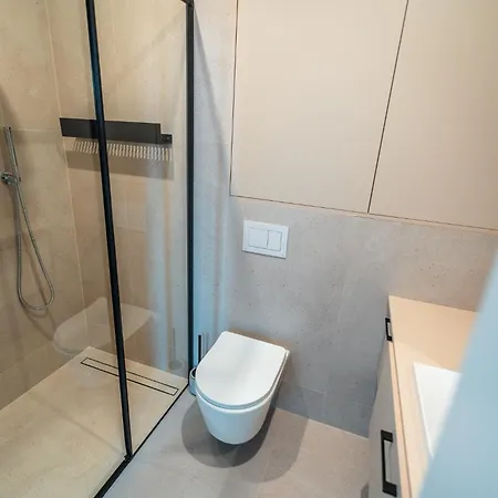 Apartamenty Przy Wisle Торунь Екстер'єр фото