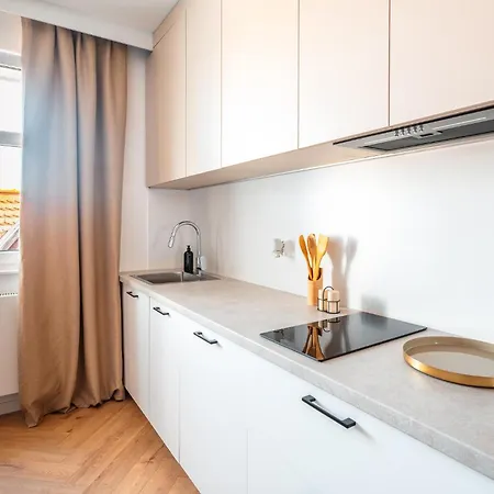 Apartamenty Przy Wisle Торунь Екстер'єр фото